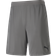 Puma teamFINAL 21 Knit Shorts Men - Steel Gray