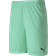 Puma teamFINAL 21 Knit Shorts Men - Green Glimmer