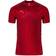 Puma teamCUP Training Jersey Men - Chili Pepper/Cordovan/Red Blast