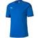 Puma teamFINAL 21 Training Jersey Men - Electric Blue Lemonade/Team Power Blue