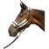 Hy Equestrian Sheepskin Head Collar