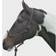 Hy Equestrian Rope Halter