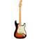 Fender Player Plus Stratocaster MN 3TSB