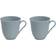 Rörstrand Swedish Grace Mug 30cl 2pcs