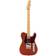 Fender Player Plus Telecaster