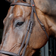 John Whitaker Ready to Ride Snaffle Bridle