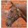 Hy Equestrian Leather Head Collar