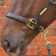 Hy Equestrian Leather Head Collar