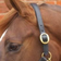 Hy Equestrian Leather Head Collar