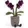 Jellycat Amuseable Purple Orchid 29cm