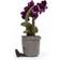 Jellycat Amuseable Purple Orchid 29cm