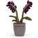 Jellycat Amuseable Purple Orchid 29cm