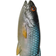Savage Gear Craft Cannibal Paddletail 6.5cm Roach