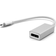 Dynamode USB C-DisplayPort M-F Adapter