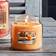 Yankee Candle Farm Fresh Peach Medium Scented Candle 411g