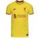 Nike Men's Liverpool FC Match Third Jersey 2021/22