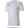 Puma teamFINAL 21 Graphic Jersey Men - White/Gray