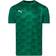 Puma teamFINAL 21 Graphic Jersey Men - Green/Green