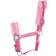 Hy Equestrian Dazzle Head Collar