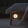 Xiaomi Motion Activated Night Vægarmatur