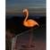 Konstsmide Flamingo Gulvlampe 110cm