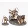 Games Workshop Warhammer Age of Sigmar : Stormcast Eternals Stormstrike Chariot