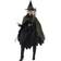 California Costumes Cool Witch Costume for Women Women's Sorceress Costume