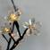 LightsOn Bloom Ljusslinga 100 Lampor