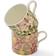 Morris & Co Fruit & Honeysuckle Taza 34cl 2pcs