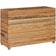 vidaXL Raised Plant Box Plantekasse