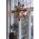 PR Home Mary Advent Star 46cm