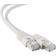 Gembird LSZH RJ45-RJ45 S/FTP Cat6a