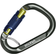 Salewa Belay Twist Lock