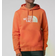 The North Face Drew Peak Hoodie - Burnt Ochre