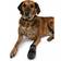 Trixie Walker Care Beskyttende Støvler XL 2pcs