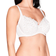 Wacoal Lace Essentiel Fuller Figure Bra - Cream/Powder