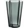 Iittala Alvar Aalto Vas 22cm