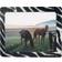 LogiLink Zebra Pattern with photo insert