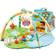 Ladida Happy Space Play Gym