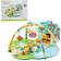Ladida Happy Space Play Gym