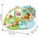 Ladida Happy Space Play Gym