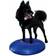 FITPAWS Pet Balance Disc