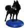 FITPAWS Pet Balance Disc