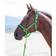 Shires Topaz Nylon Headcollar