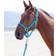 Shires Topaz Nylon Headcollar