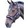 Shires Polo Fleece Lined Headcollar