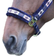 Shires Polo Fleece Lined Headcollar