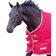 Shires Tempest Original Air Motion Turnout Rug