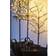 Sirius Noah Black Christmas Lamp 50cm