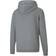 Puma Teamgoal 23 Casuals Hoodie - Grey